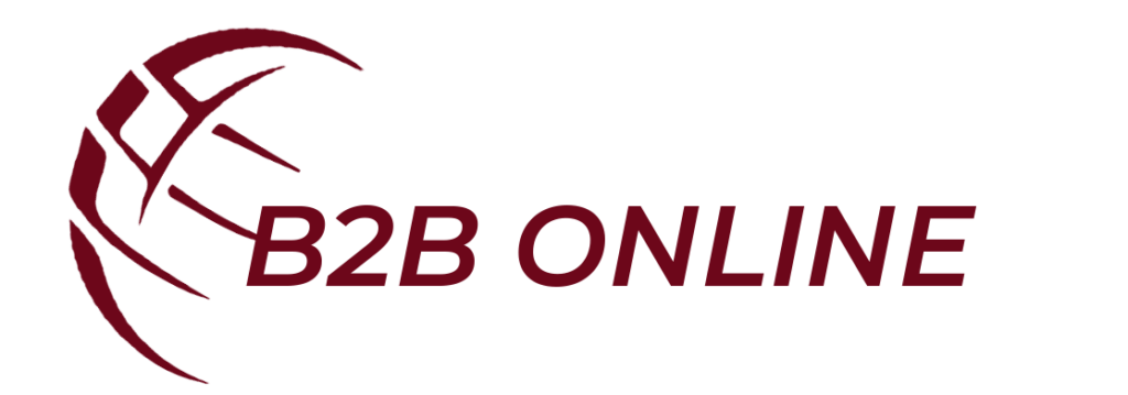 b2b online création de site et gestion de boutique