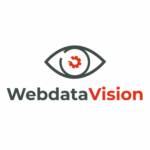 webdatavision logo b2b online