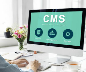 cms wordpress b2b online