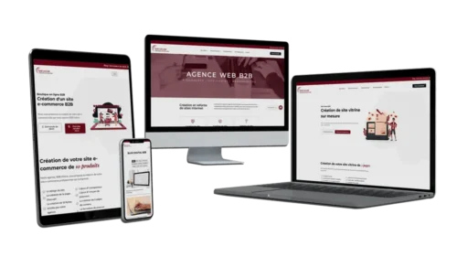 Agence digitale B2B Online