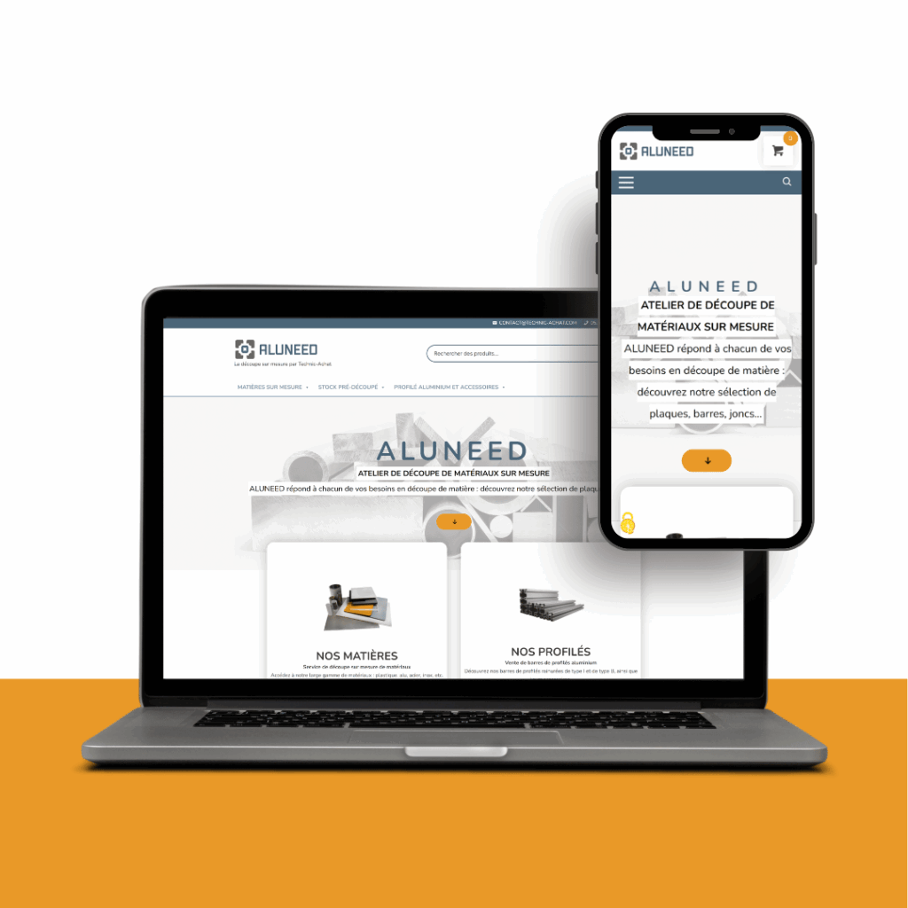 Cas client Aluneed - B2B Online