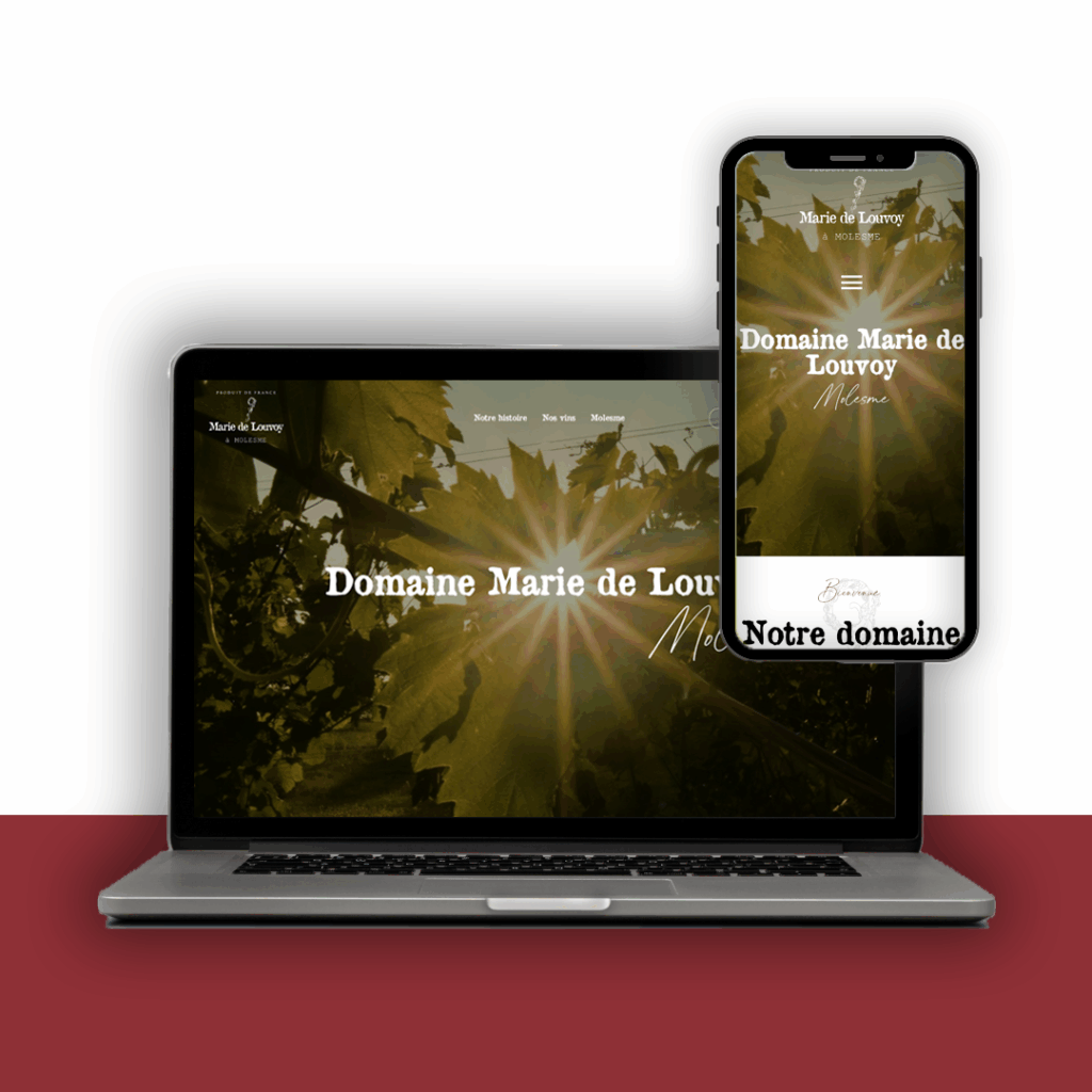 Marie de Louvoy mockup agence b2b online