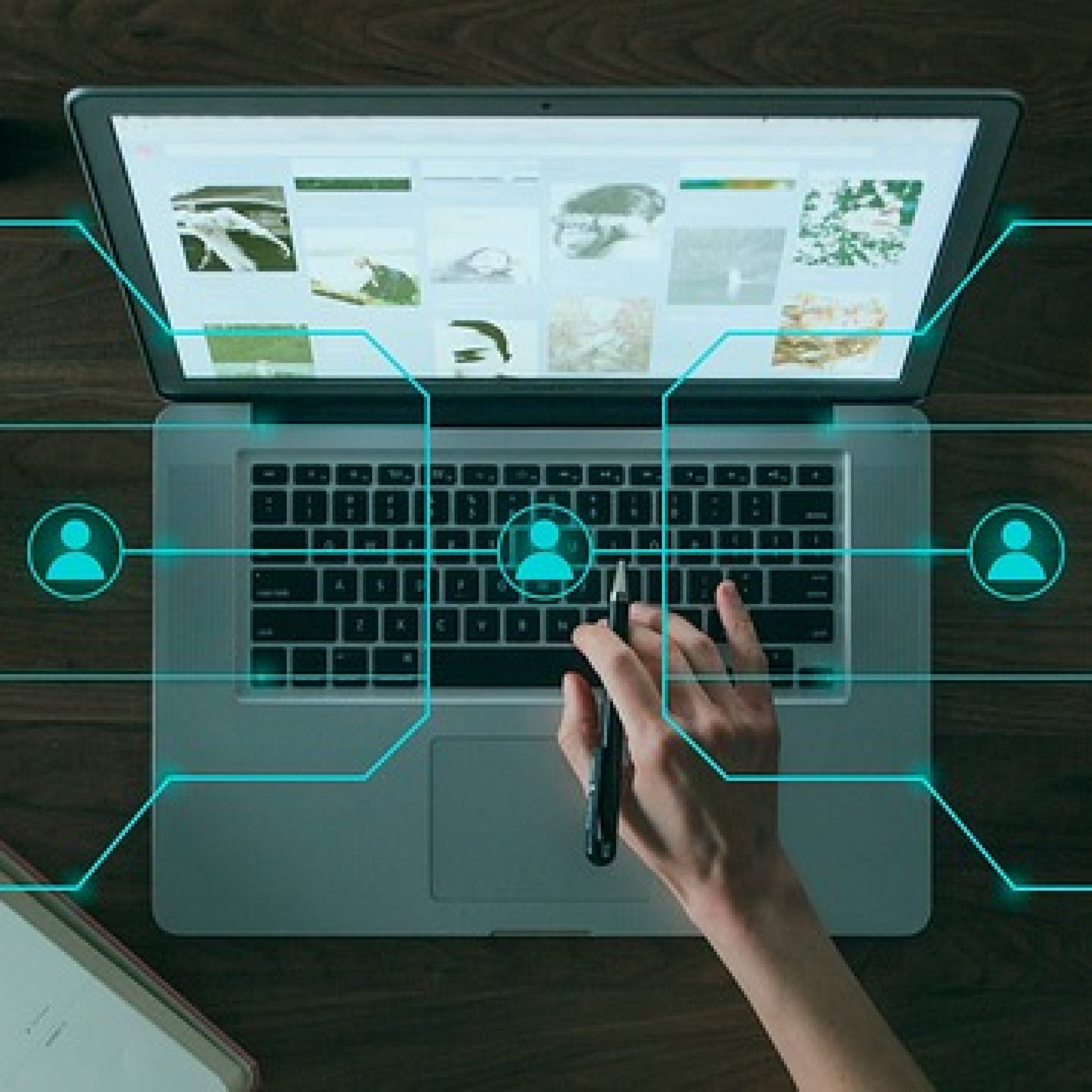 Business création site internet b2b online