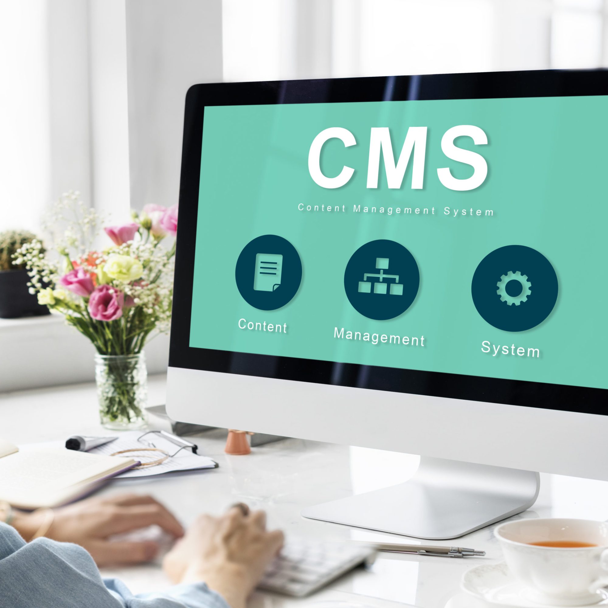 CMS b2b online