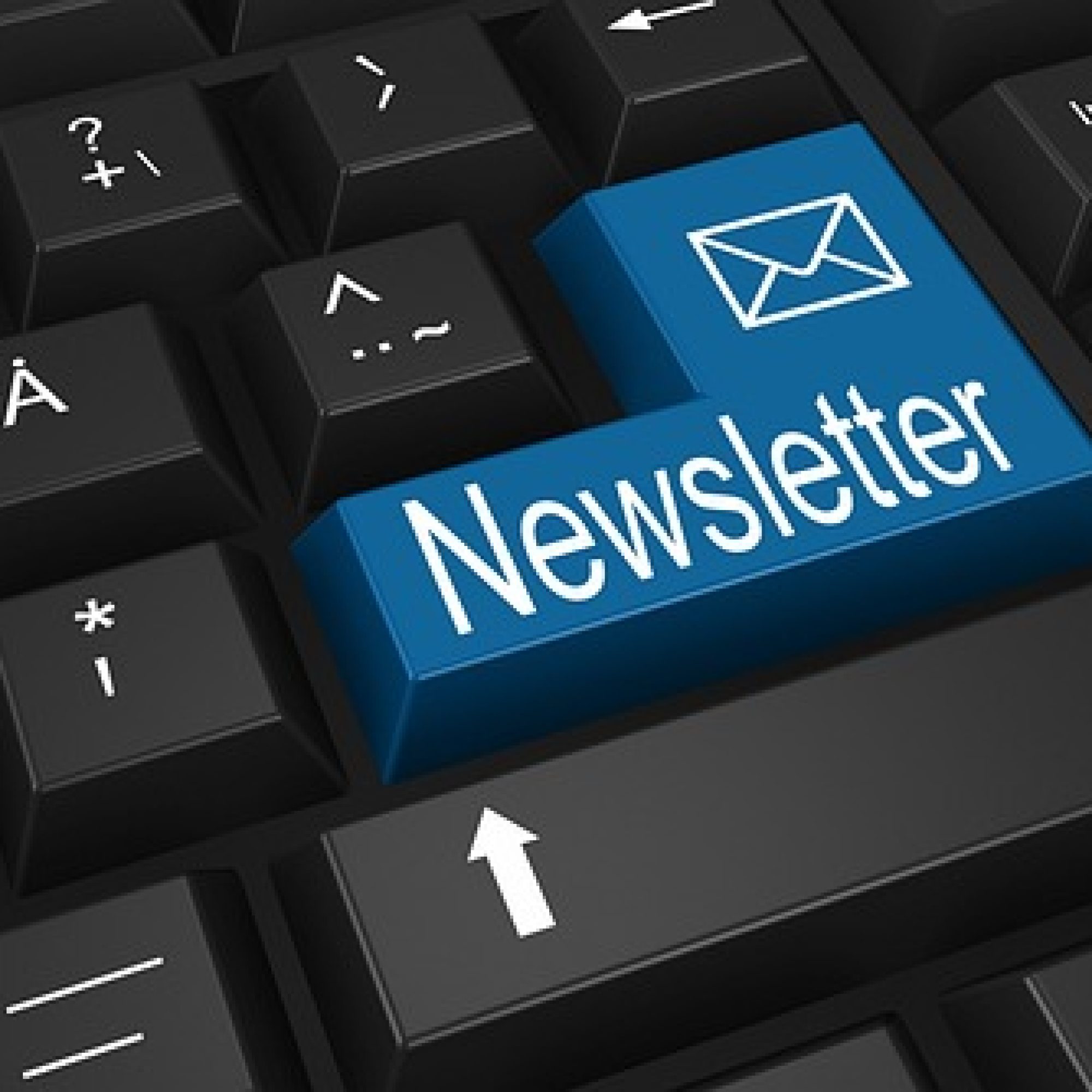 newsletter b2b online